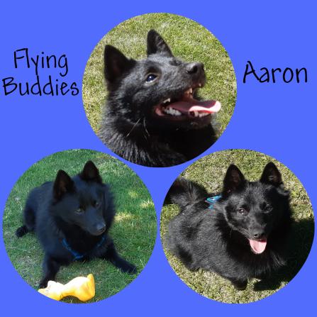 Flying Buddies Aaron