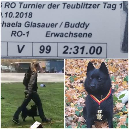 Buddy 2,5 Jahre, 99 (von 100) Punkte im Rally Obedience! RO1