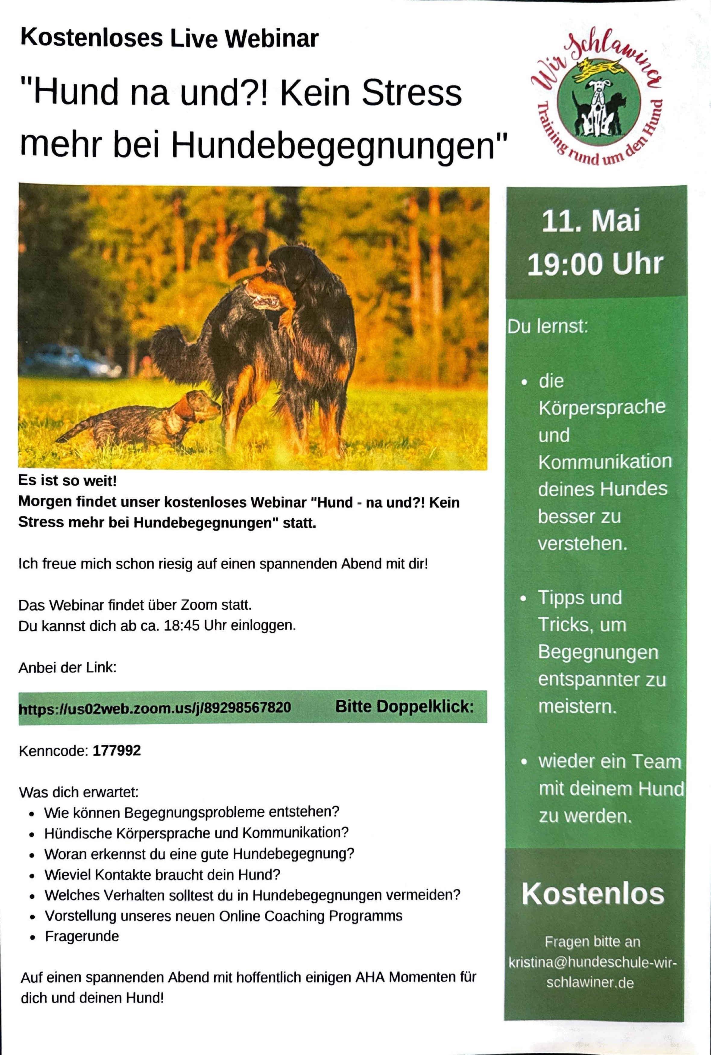 Hundebegegnungen, 2021