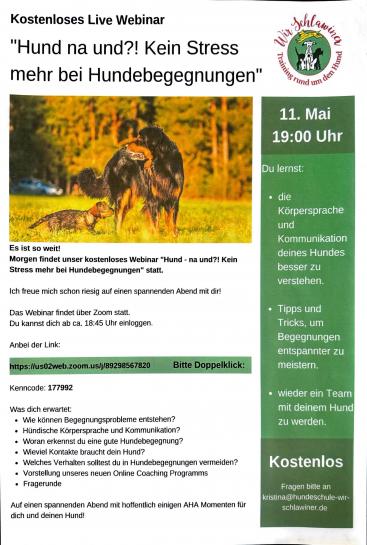 Hundebegegnungen, 2021