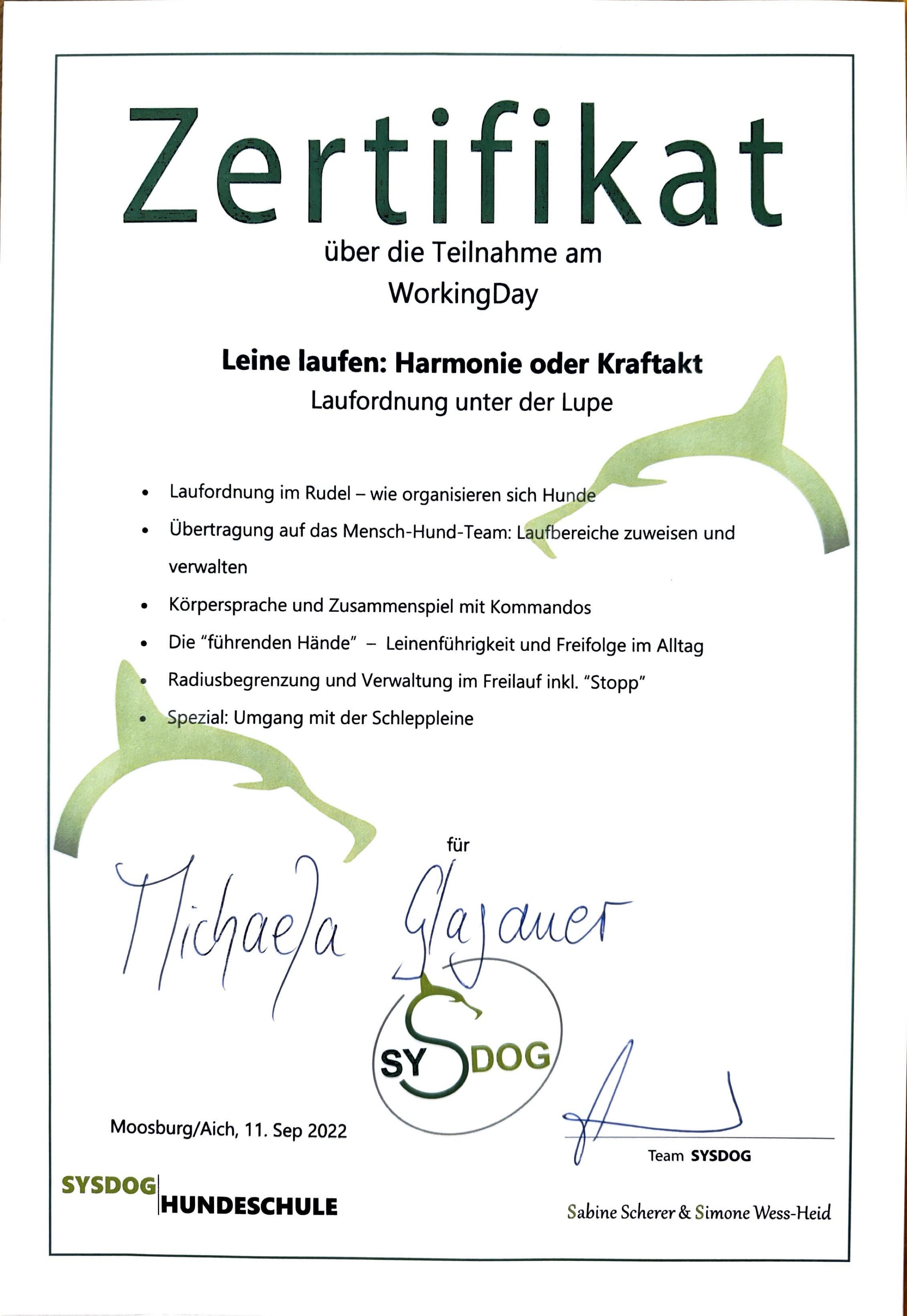 Leine laufen - Harmonie oder Kraftakt, 2022