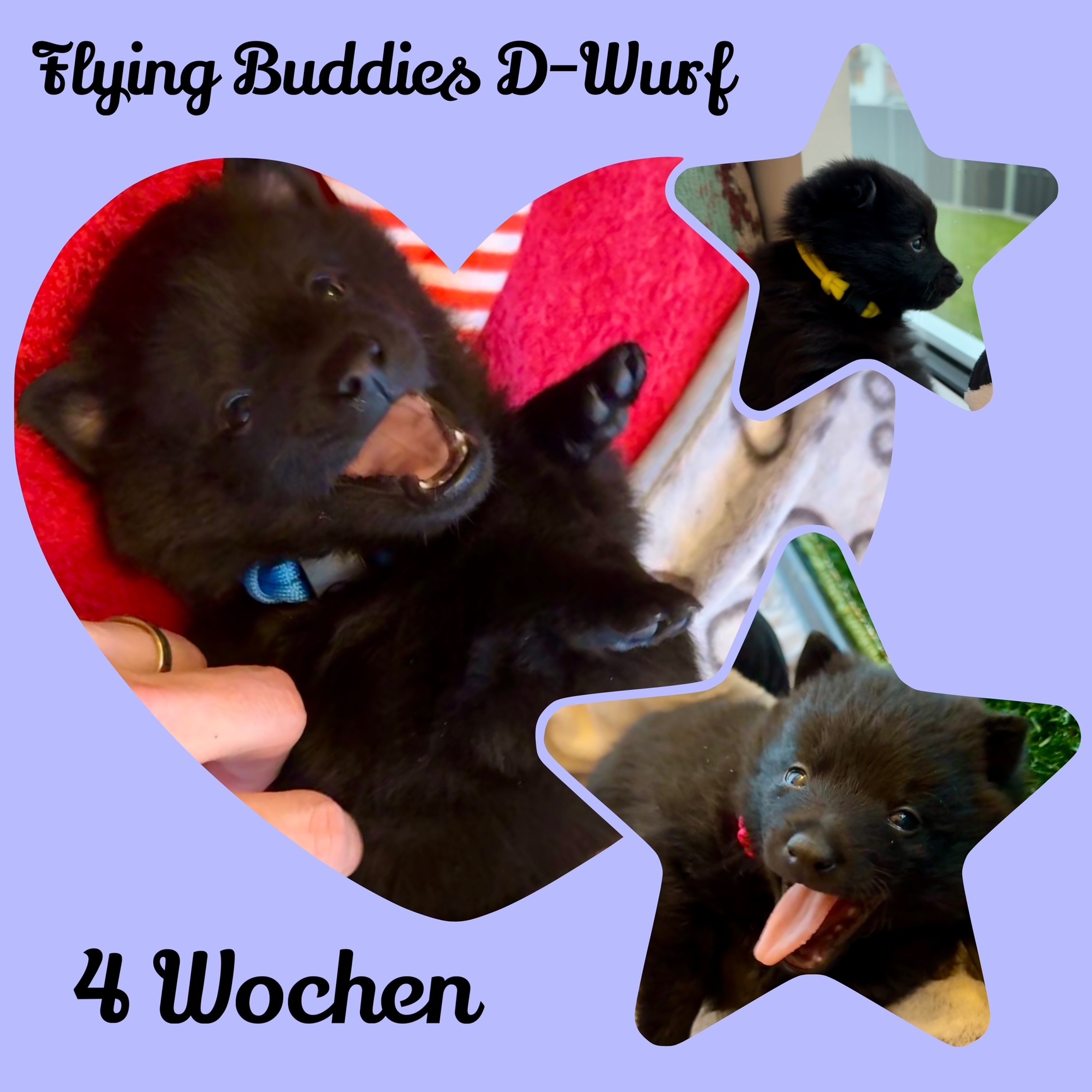 4 Wochen