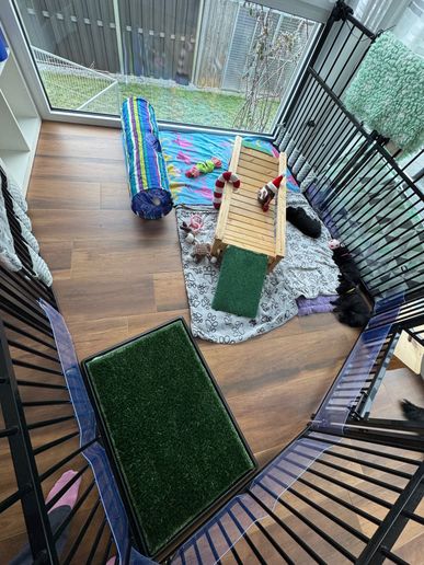 Spielplatz-Vergrößerung