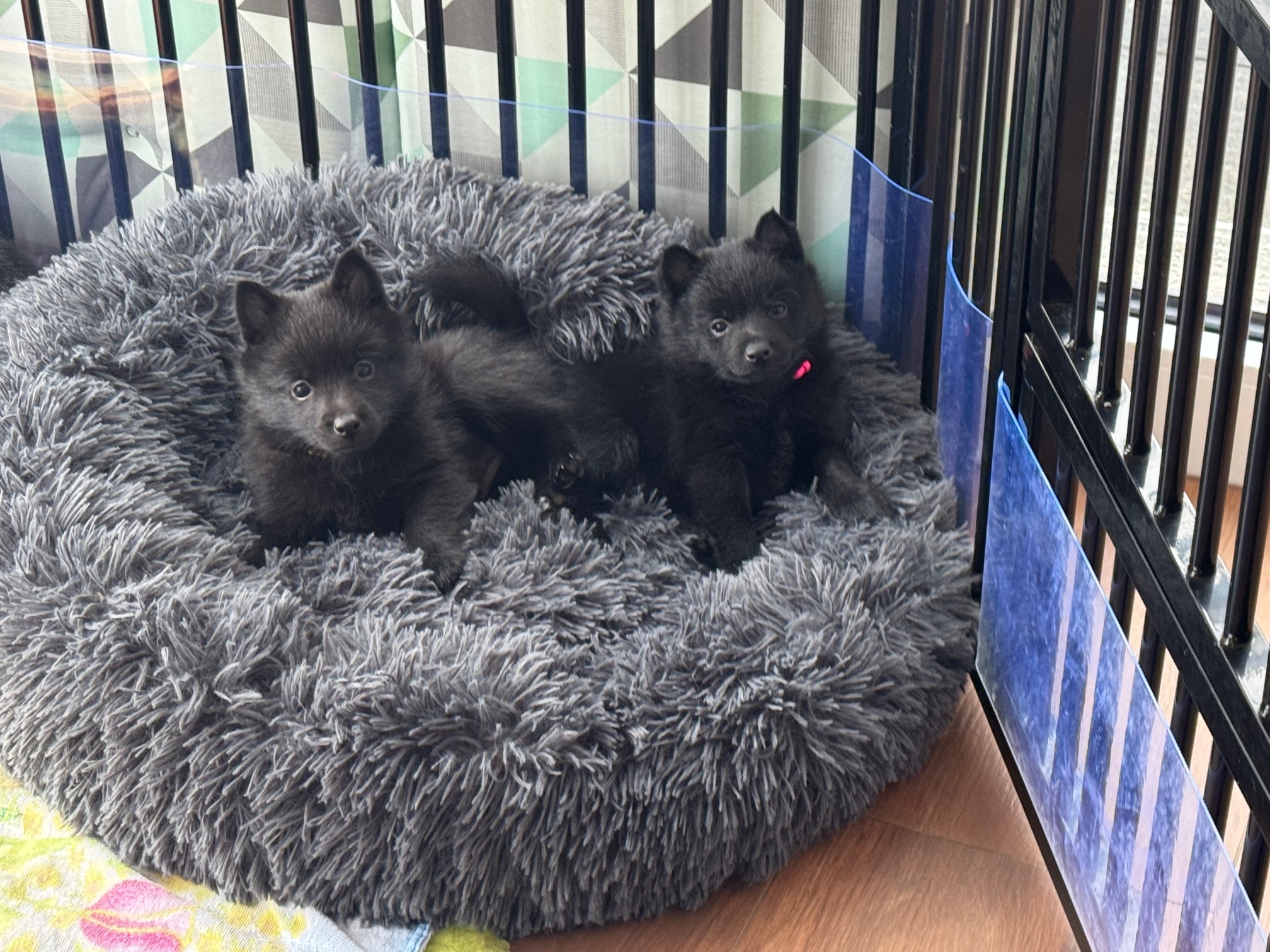 Kuscheltime