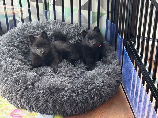 Kuscheltime