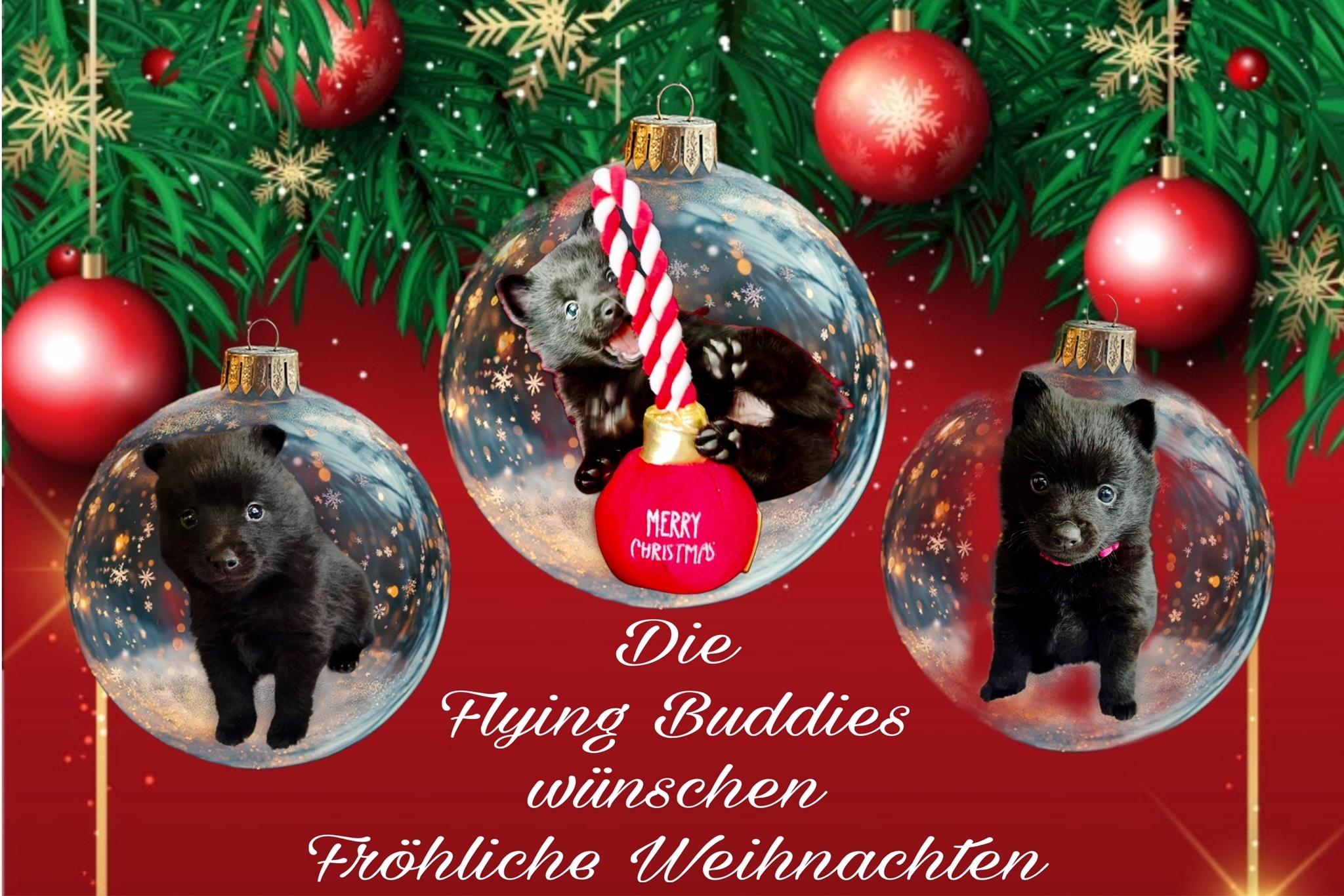 Fröhliche Weihnachten