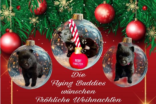 Fröhliche Weihnachten