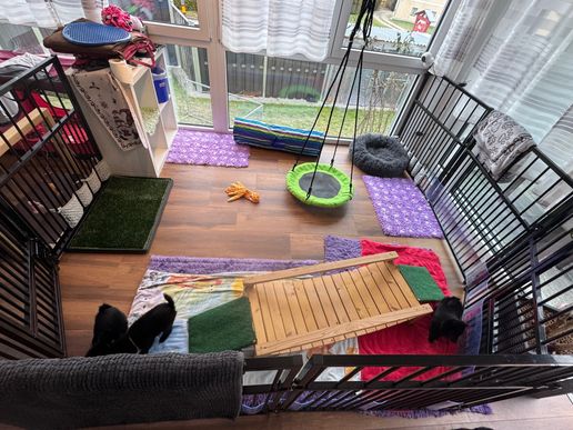 Und nochmal den Spielplatz vergrößert und die Nestschaukel dazu