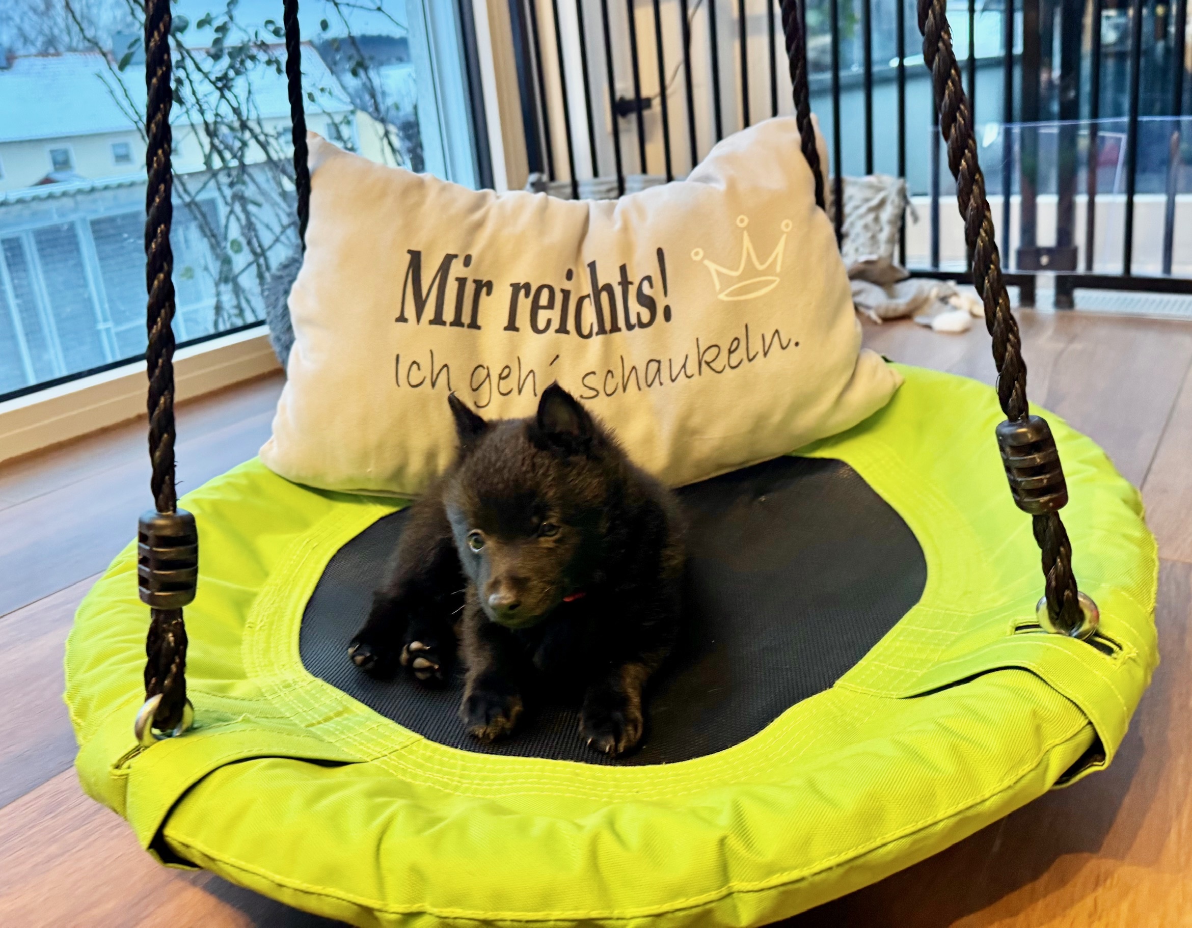 Mir reichts - ich geh schaukeln :)