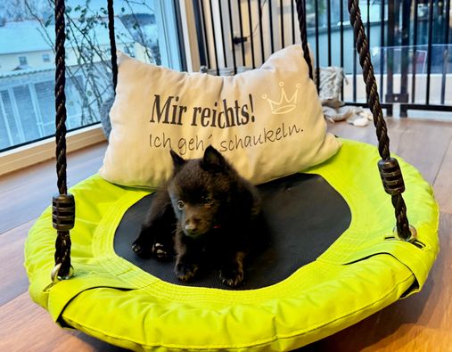 Mir reichts - ich geh schaukeln :)