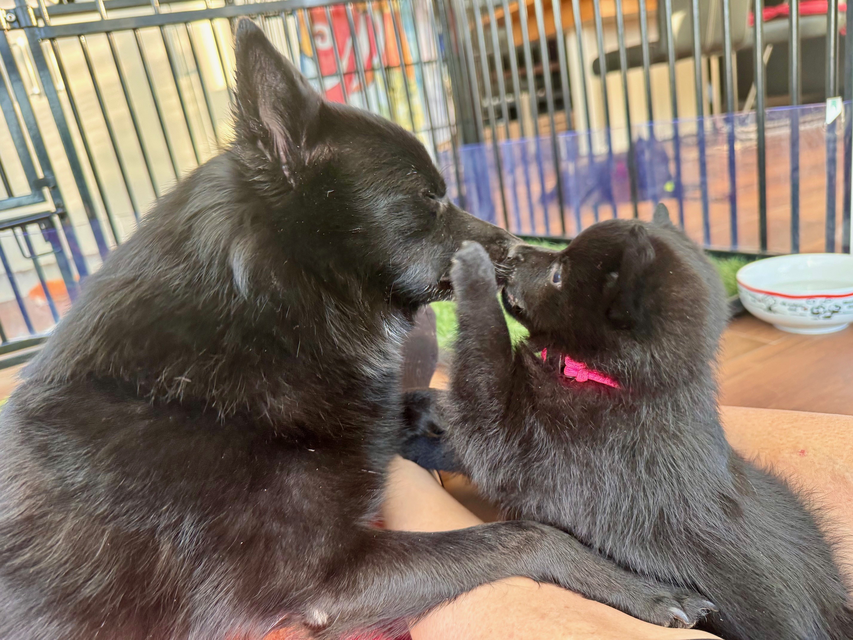 5,5 Wochen - Mama und Tochter