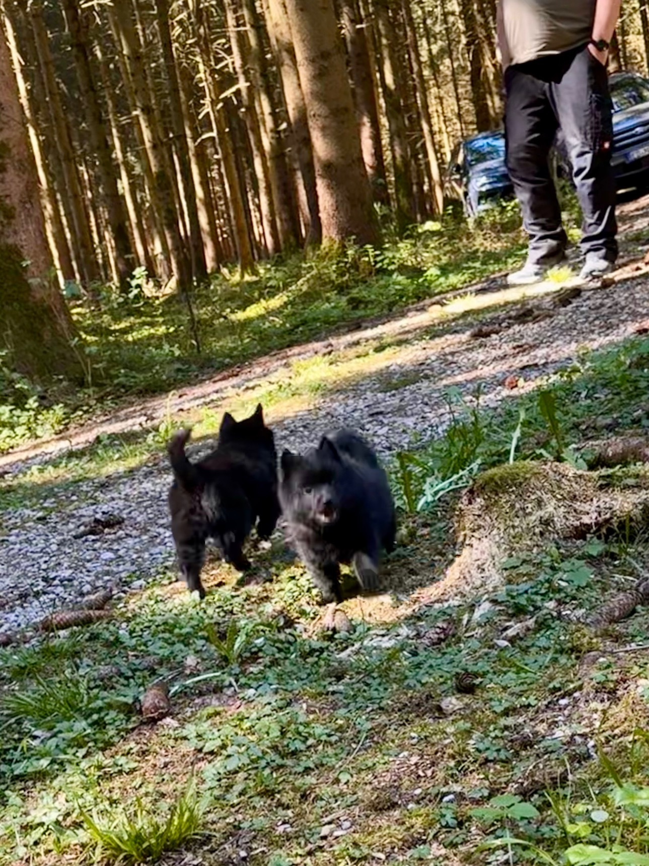 7,5 Wochen - Waldausflug