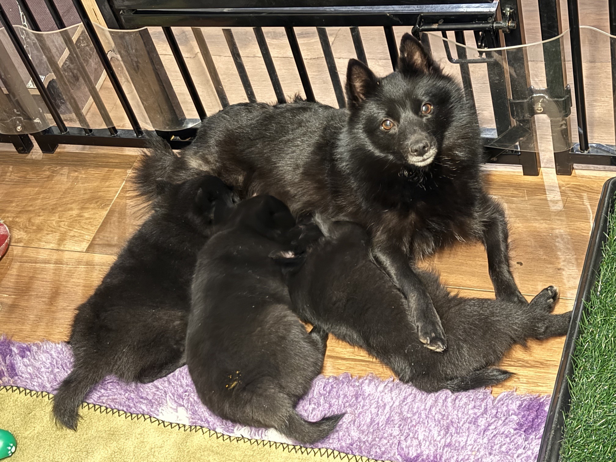 8,5 Wochen - Beste Mama bis zum Schluss