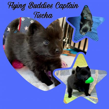 Flying Buddies Captain Tischa