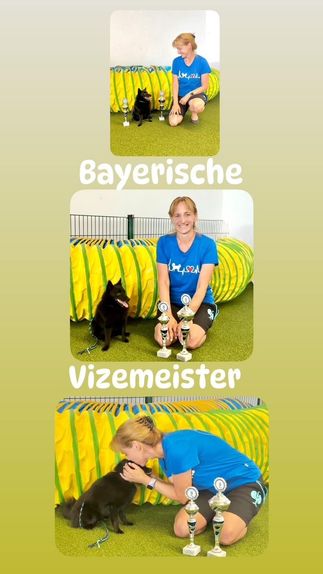 bm-agility-vizemeister