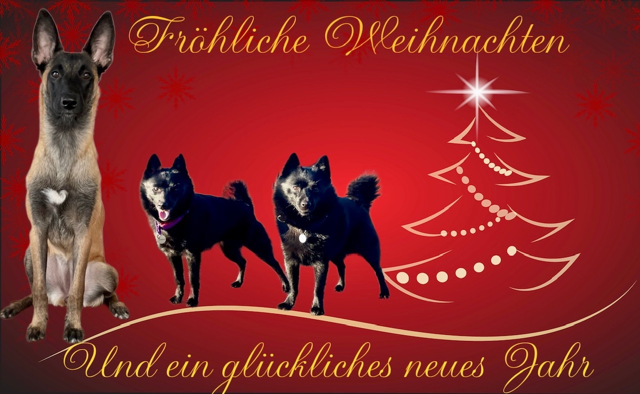 Weihnachtskarte 2022